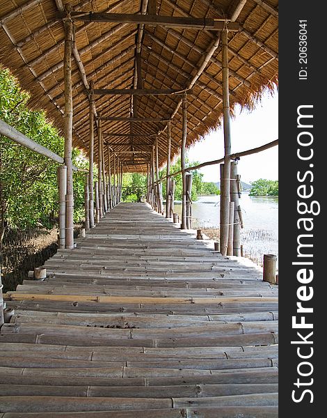 Bamboo walkway with roof beside mangrove forest