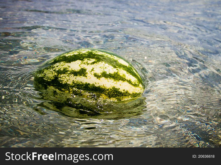 Nice watermelon floating in crystal clear water