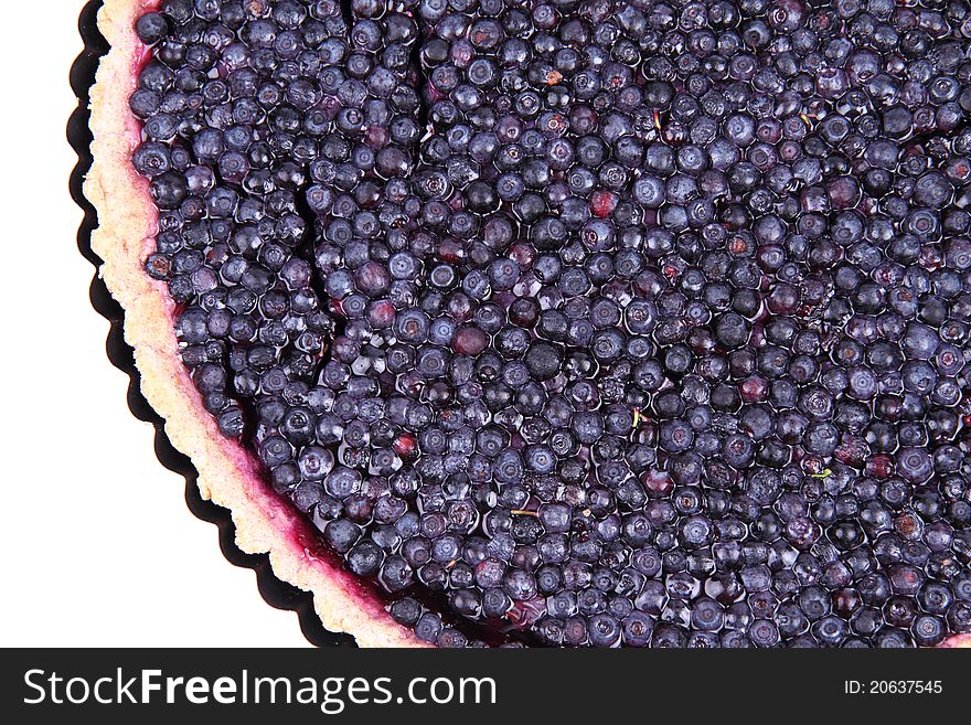 Blueberry Tart on white background