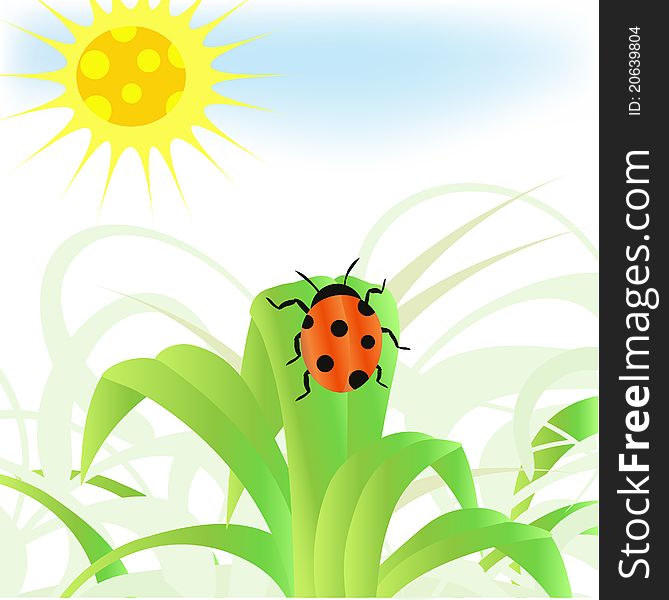 Ladybug on the green grass. Conceptual  illustration