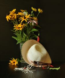 Flowers Royalty Free Stock Image Flowers Royalty Free Stock Image