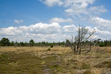 Landscape On Romo, Denmark Royalty Free Stock Image Landscape On Romo, Denmark Royalty Free Stock Image