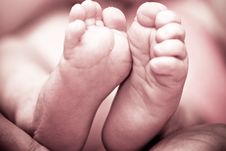 Baby S Foot In Mother Hands Stock Images