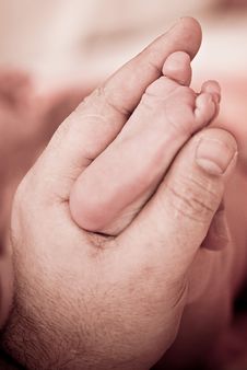 Baby S Foot In Father Hands Royalty Free Stock Images