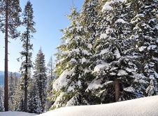 Winter Landscape Royalty Free Stock Photo Winter Landscape Royalty Free Stock Photo