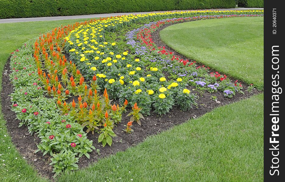 Rainbow Flowerbed