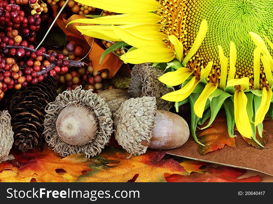 Autumn Still Life