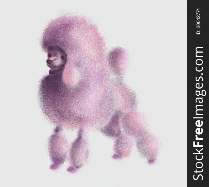 Cute pink poodle illustration