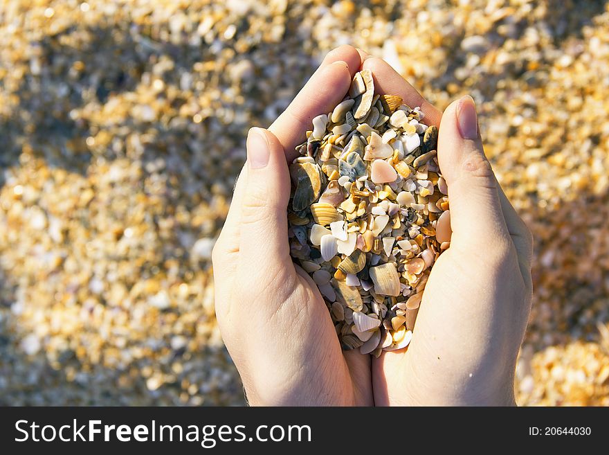 Girl's hands carrying sand and shells on the sand background