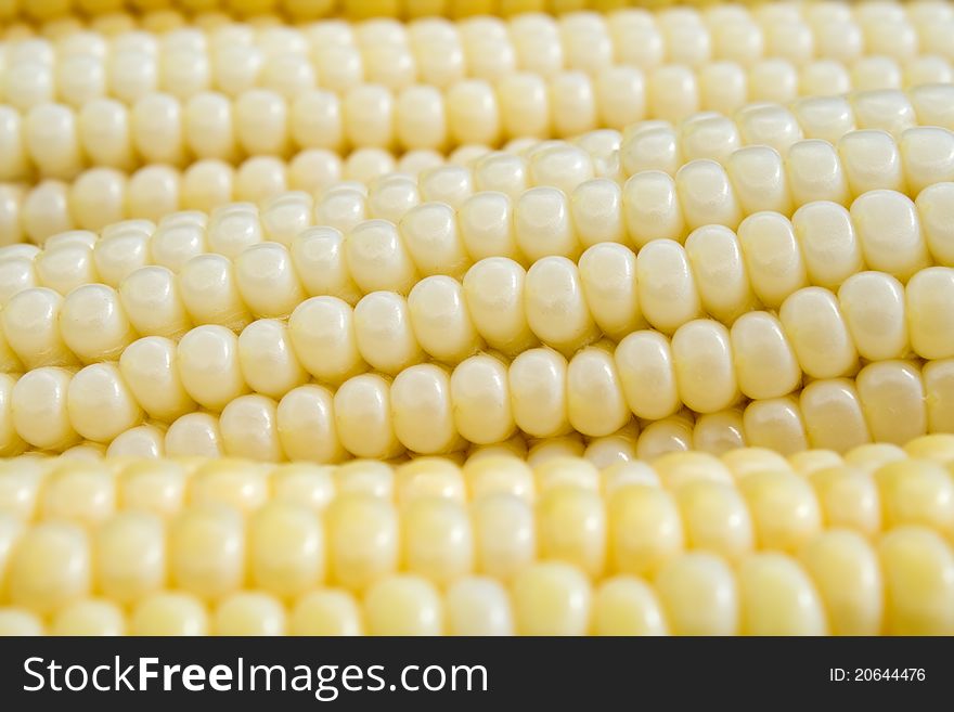 Corn macro shooting agriculture backgrounds. Corn macro shooting agriculture backgrounds.
