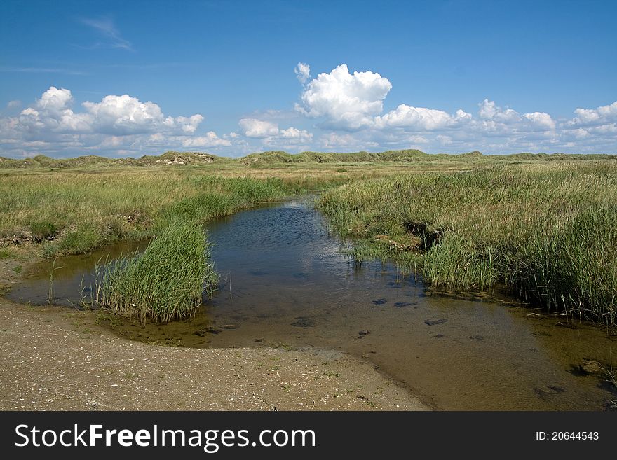 Landscape with water, grass and Dunes on Romo in Denmark. Landscape with water, grass and Dunes on Romo in Denmark