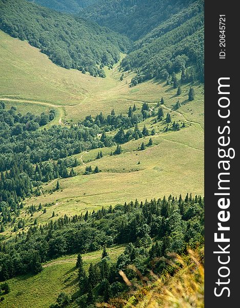 Vertical photo of meadows and forests taken from a hill. Vertical photo of meadows and forests taken from a hill