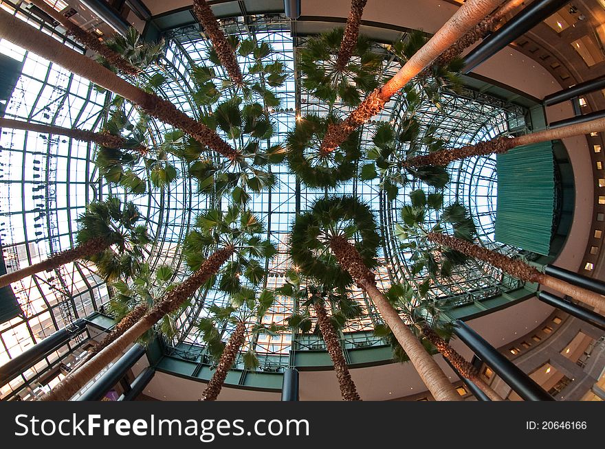 The Winter Garden, part of the World Financial Center buildings in the Financial District of New York City.