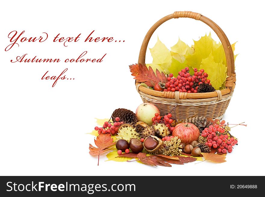 Autumn leaves and fruits isolated on white