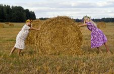 Two Blondies On Nature Royalty Free Stock Images