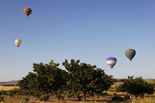 Balloons In The Trees Blue Sky Royalty Free Stock Photos Balloons In The Trees Blue Sky Royalty Free Stock Photos