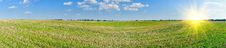 Empty Bristly Field After Crop. Stock Photography Empty Bristly Field After Crop. Stock Photography