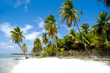 Paradise Beach Royalty Free Stock Images Paradise Beach Royalty Free Stock Images