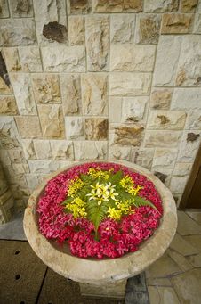 Flower In Water Fountain Stock Photo Flower In Water Fountain Stock Photo