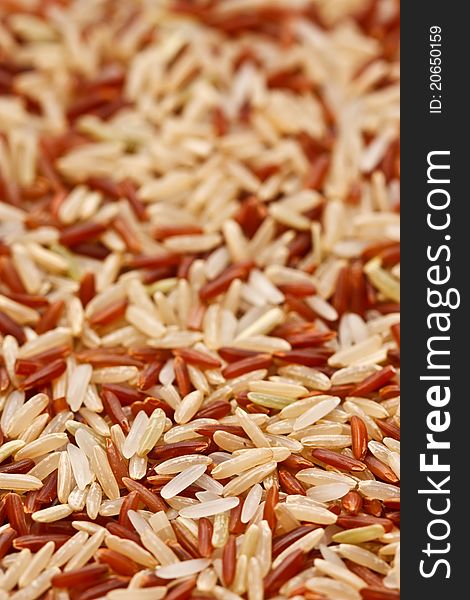 Details of Thai rice grain. Details of Thai rice grain