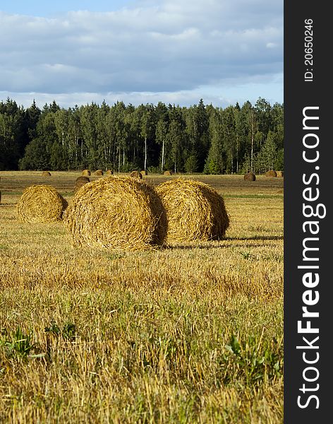 Field with haystack at summer