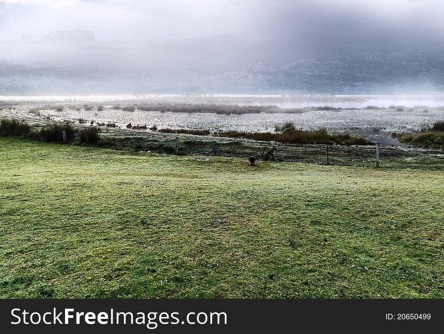 Mysterious morning time in Grampians National park area