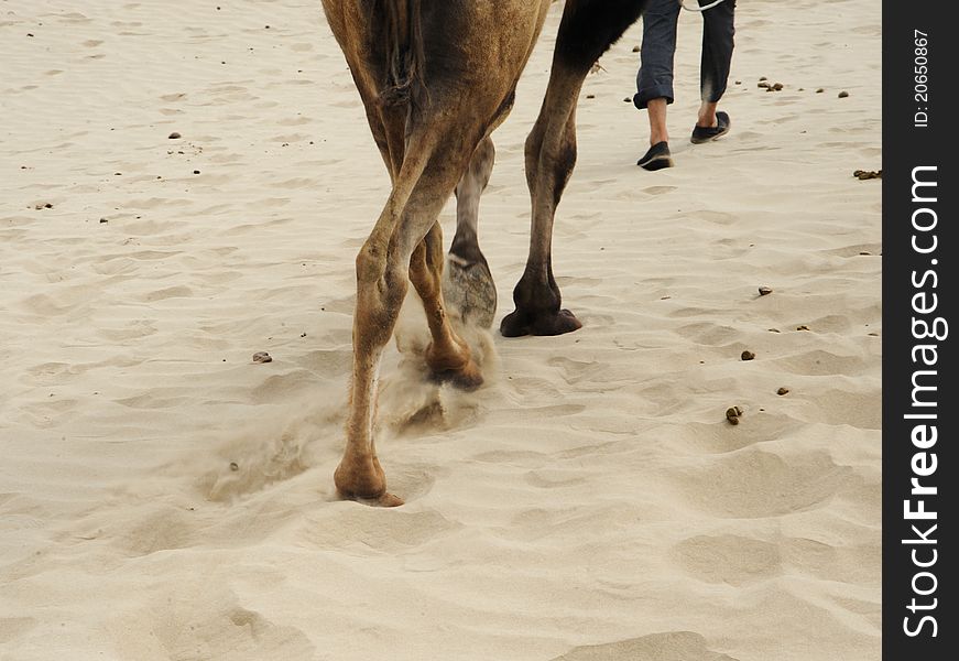 It'a a part of Taklimakan Desert in xinjiang region. there is a man leading a camel. It'a a part of Taklimakan Desert in xinjiang region. there is a man leading a camel