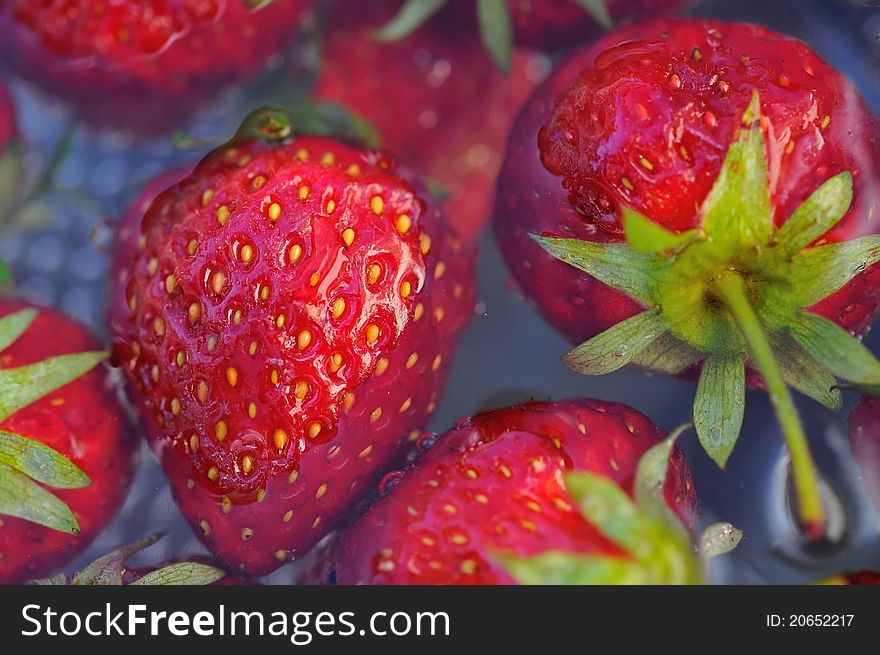 Macro shot of fresh strawberries in water.
