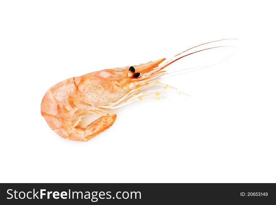 Small orange shrimp isolated on white. Small orange shrimp isolated on white