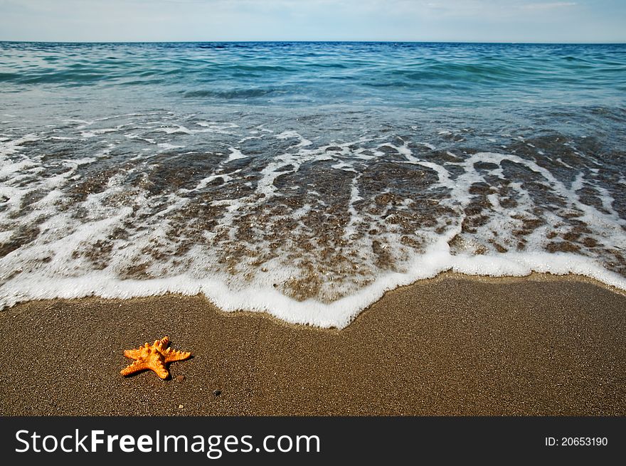 Small red starfish on sand