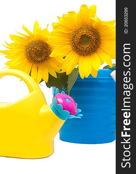 Sunflower bouquet and watering can over white