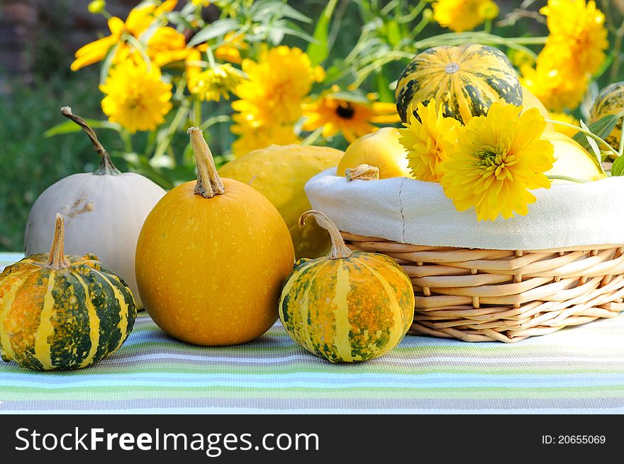 A basket full of pumpkins with autumn yellow flowers. A basket full of pumpkins with autumn yellow flowers.