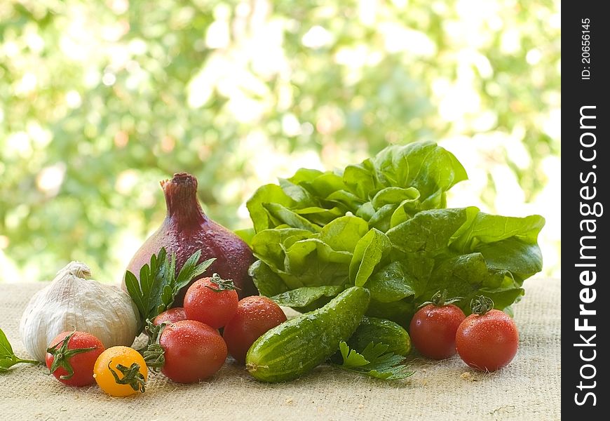 Different fresh vegetables on natural background. Selective focus