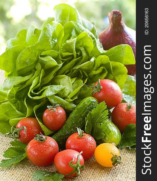 Different fresh vegetables on natural background. Selective focus