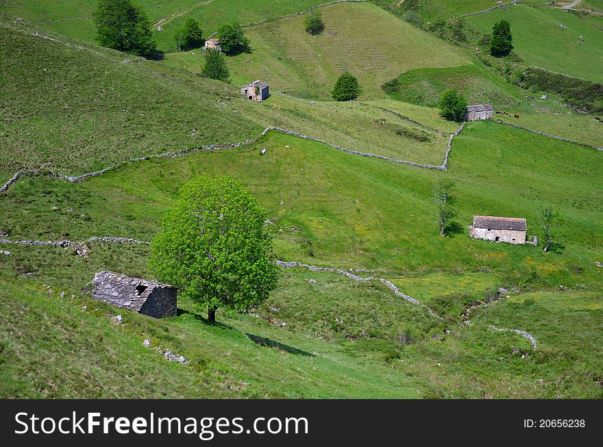 Scenic landscape with cabins and plots