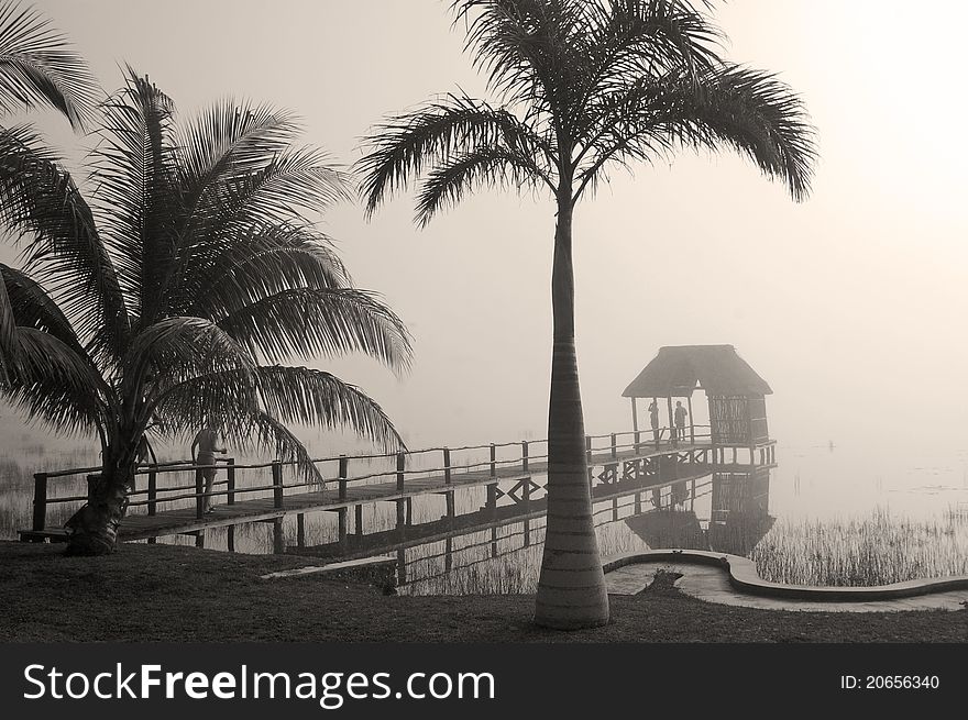 Quite morning mist on the lake, Lagoon Bacalar, with a pier and palm trees in the foreground. Quite morning mist on the lake, Lagoon Bacalar, with a pier and palm trees in the foreground