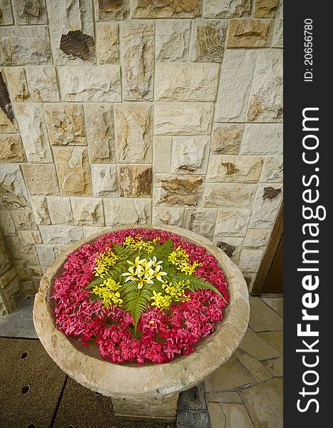 Flower in water fountain