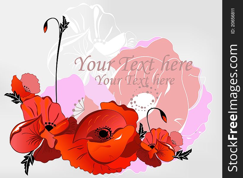 Background with red and pink poppies. Background with red and pink poppies