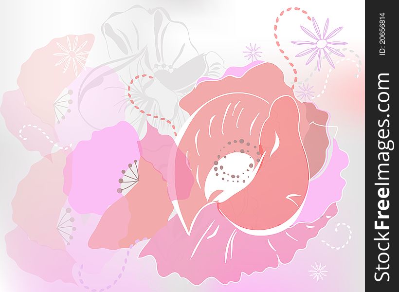 Gentle background with pink popies and daisies