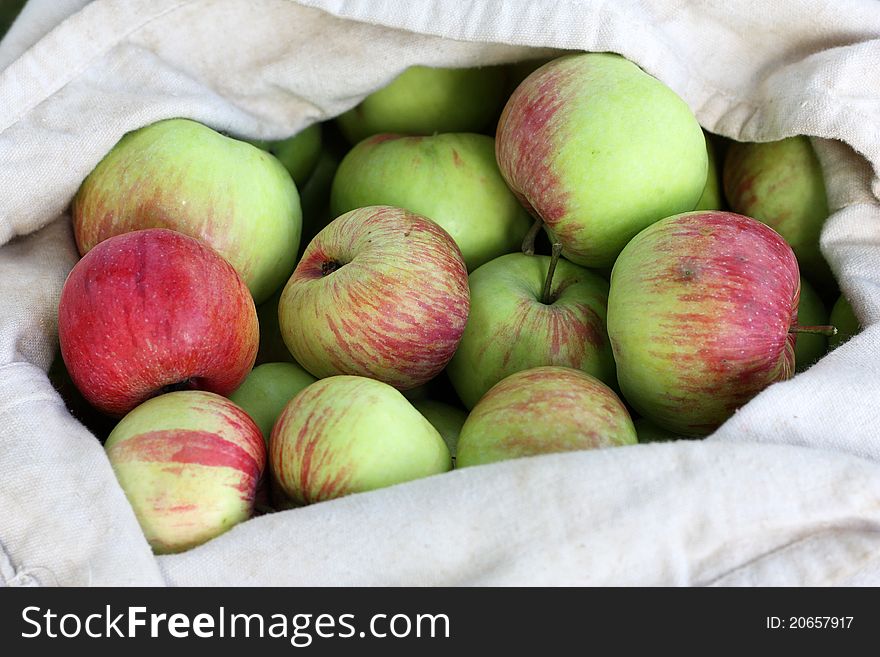 Bag Of Red-Green Apples In Summer