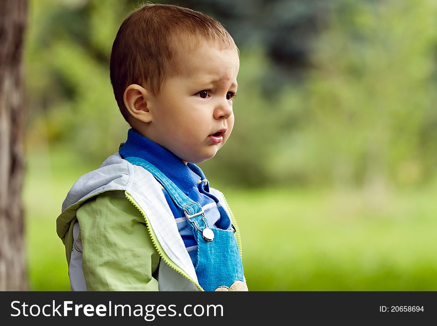 Baby Boy In Blue In Park