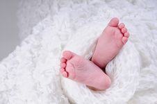Sweet Little Baby Feet Stock Photo Sweet Little Baby Feet Stock Photo