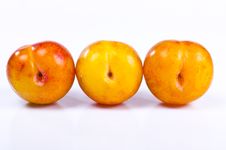 Apricots Stock Image