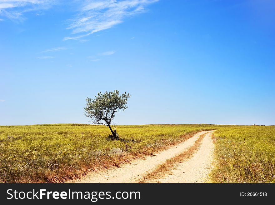 Empty country road in Crimea, Ukraine,. Empty country road in Crimea, Ukraine,