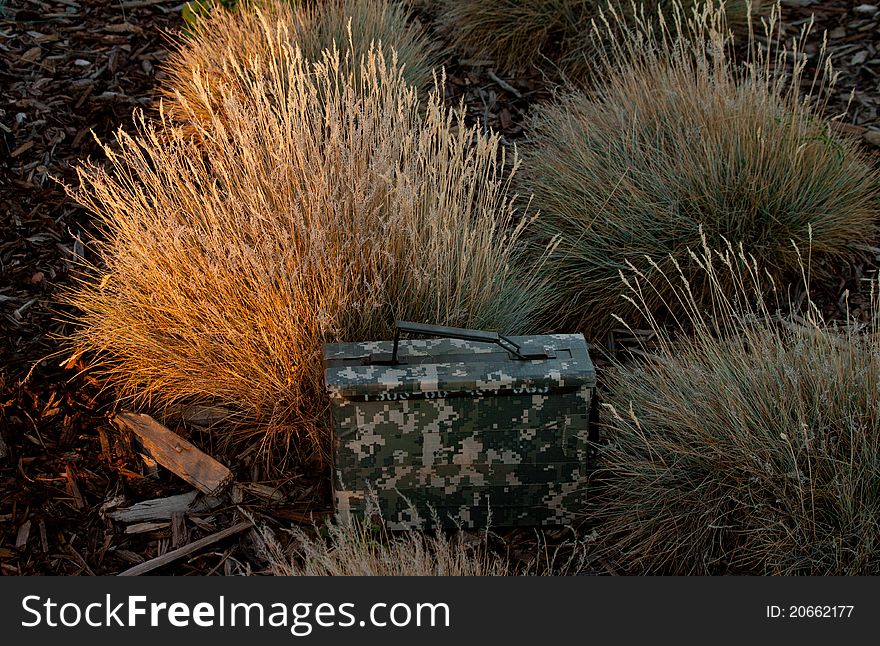 A image of a geocache hidden in the bushes at sunset. A image of a geocache hidden in the bushes at sunset