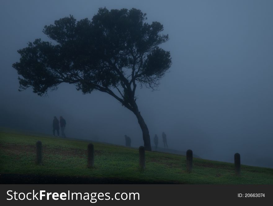 Cape Town In The Fog