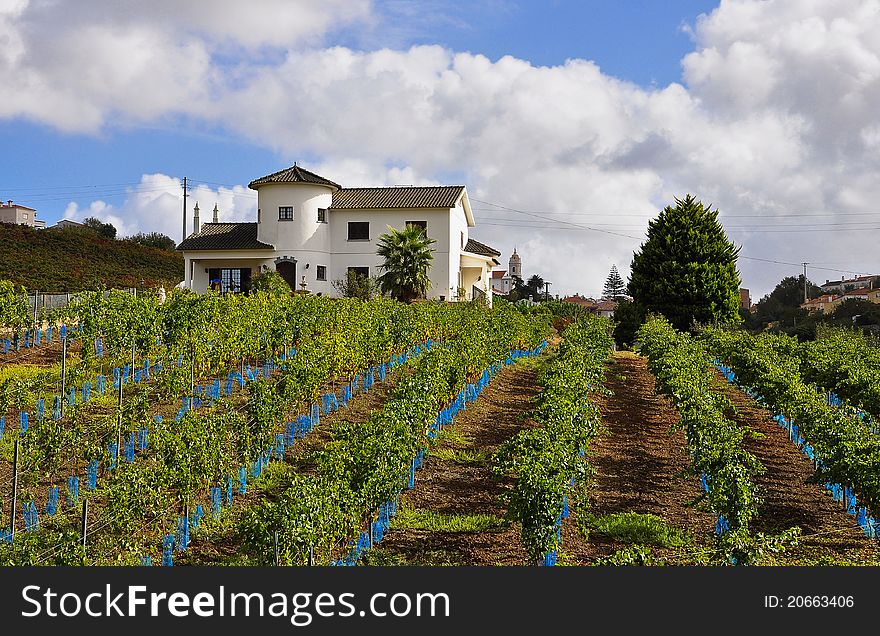 Portugal Villa village architecture, vineyards, gardens and fresh air. Portugal Villa village architecture, vineyards, gardens and fresh air