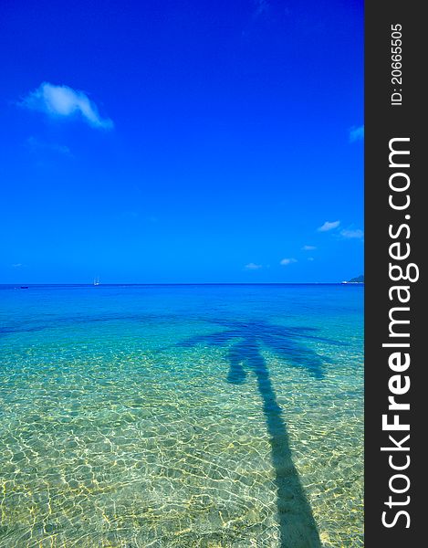 Sea and coconut palm with blue sky