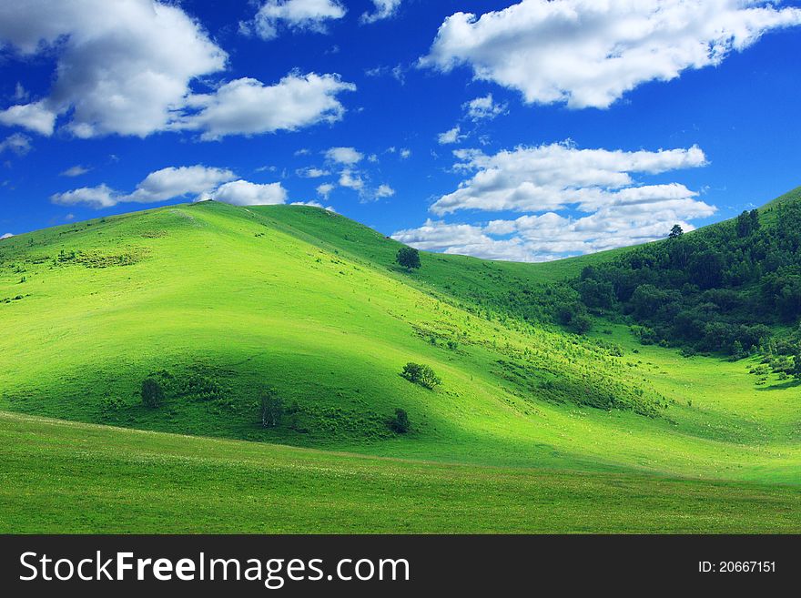 Landscape of grassland with cloudy sky