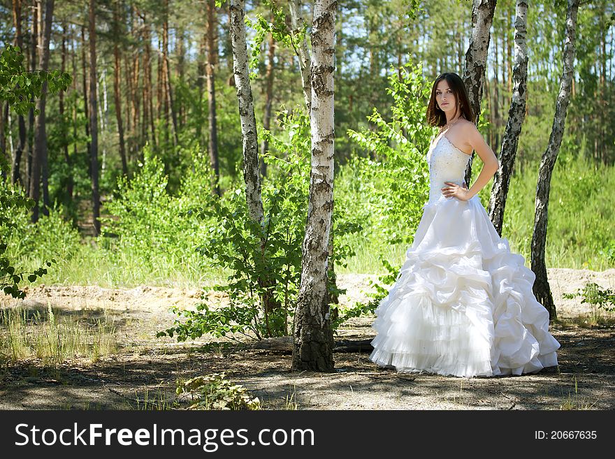 Bride with dark-brown hair posing